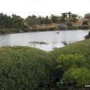 명심보감 이미지