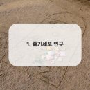 미소더예쁨치과의원 이미지