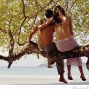 군포-산본-2006 이미지