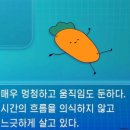동신목장 | 수술 전까지의 7월 일상 하드털이