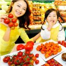토마토플러스 이미지