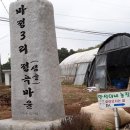 이정표농장 네이버블로그