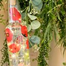 스테이엣홈 이미지