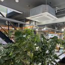 안경공장공장장콘택트 이미지