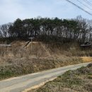 이의정정문 이미지