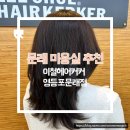 [이철헤어커커 영등포문래점] 문래동 미용실 아윤채 클리닉 후기