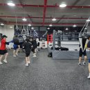 브라보 복싱 이미지