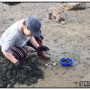 탑포어촌체험휴양마을 이미지