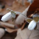 나리농장 이미지