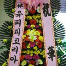 (주)유피피코리아