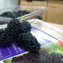 오디가개 이미지