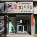 멍뭉이네 살롱 이미지