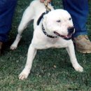 오공이 농장 이미지