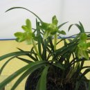 대천체육관 이미지