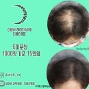 디에스엠피 이미지