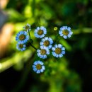 아침하늘 이미지