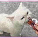 아이조아요양보호소 안양점 이미지