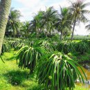 여의주농장 이미지