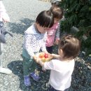 민준농장 이미지