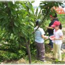 석성농장 이미지