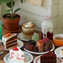 321베렌도 이미지