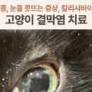 애니컴 메디컬센터 이미지