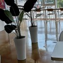 영남대역 | 영남대역 안경원: 내 눈에 꼭 맞는 스타일을 찾아서!