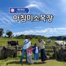 미소카페 - 포항시 북구 달전로 291 | 제주 동쪽 코스 아이랑 가볼만한곳 아침미소목장 카페 추천 후기!