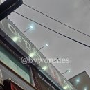 광주-송정-5 | 경기광주양꼬치 경안동 맛집 추천 램쿡양꼬치 후기 경안동양갈비 추천