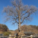 안동권씨회관 | [우리산하] 삼남의 4대 길지 중 안동 권씨들의 집성촌인 봉화 닭실마을을 찾다(봉화-5 끝)