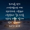 성보캘리그라피 | 마태복음 25장 31-46절 양과 염소의 비유