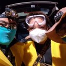 시화2태양광 발전소 이미지