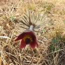 삼삼농장 이미지