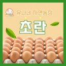 자연농장 | 유나네 자연숲 농장 가격 주문 택배 후기 난각번호