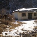 보령성주우체국 Daum카페