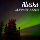 오로라 | 알래스카 오로라 여행 체나 핫스프링스 오로라 체이싱 후기