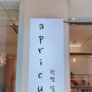 아프리쿠스(apricus)