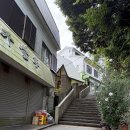 정원코킹 | 에노시마 여행 코스 2: 씨캔들 전망대, 사무엘 코킹정원, 패스 추천까지
