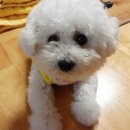 (주)뭉치 이미지