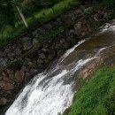 옥룡농장 이미지