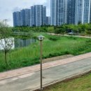 청라호수공원(제2주차장) 이미지