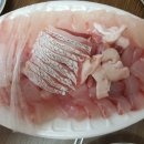 민어사랑 이미지