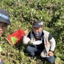 영광부분정비 이미지