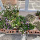 퍼니하우스시스템 이미지