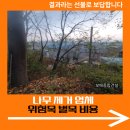 철산2동 행정복지센터(14115) | 나무 제거 업체 위험목 벌목 비용