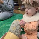 장림 홈플러스 문화센터 도리도리팡팡