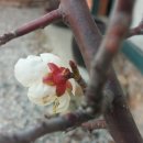 의령민박 이미지