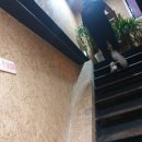 치킨호프숲속애 이미지