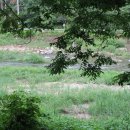 운악스마일펜션 이미지