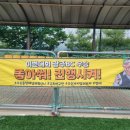 양구초등학교 네이버블로그